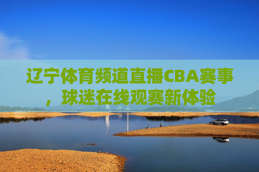 辽宁体育频道直播CBA赛事，球迷在线观赛新体验