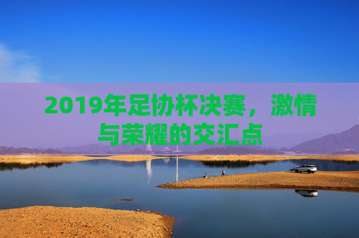 2019年足协杯决赛,激情与荣耀的交汇点 2019年足协杯决赛,激情与荣耀的交汇点