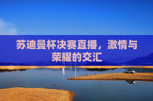 苏迪曼杯决赛直播，激情与荣耀的交汇
