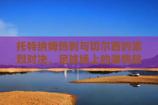 托特纳姆热刺与切尔西的激烈对决,足球场上的激情较量 托特纳姆热刺与切尔西的激烈对决,足球场上的激情较量
