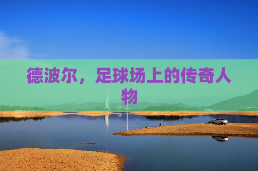 德波尔，足球场上的传奇人物