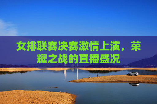 女排联赛决赛激情上演，荣耀之战的直播盛况