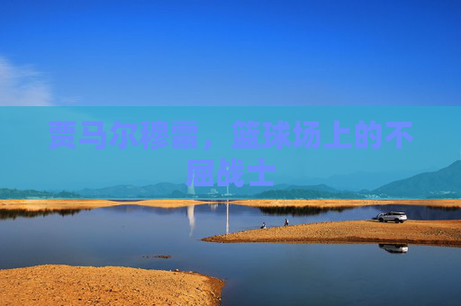 贾马尔穆雷，篮球场上的不屈战士