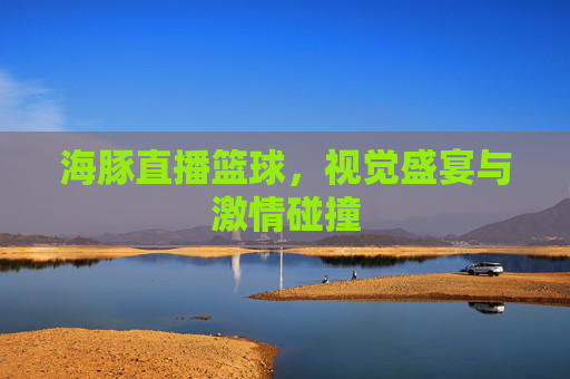 海豚直播篮球，视觉盛宴与激情碰撞