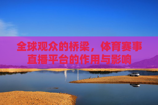 全球观众的桥梁,体育赛事直播平台的作用与影响 全球观众的桥梁,体育赛事直播平台的作用与影响