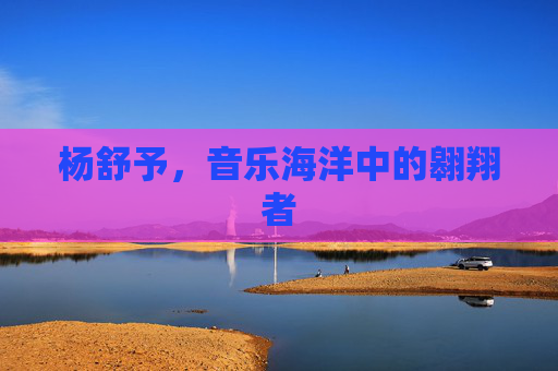 杨舒予，音乐海洋中的翱翔者