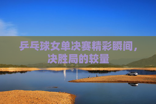 乒乓球女单决赛精彩瞬间，决胜局的较量
