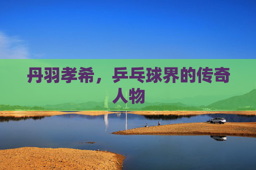 丹羽孝希，乒乓球界的传奇人物