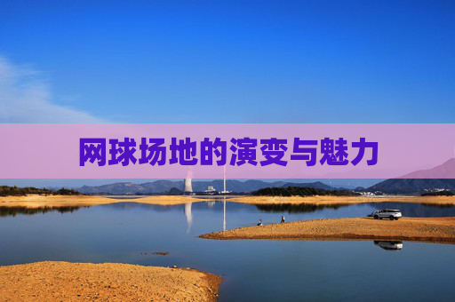 网球场地的演变与魅力