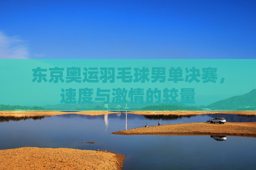 东京奥运羽毛球男单决赛，速度与激情的较量