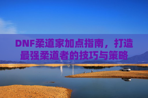 DNF柔道家加点指南，打造最强柔道者的技巧与策略