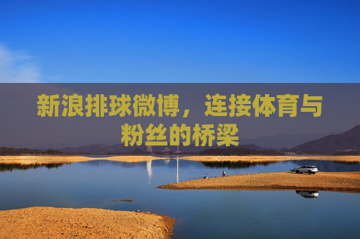 新浪排球微博，连接体育与粉丝的桥梁