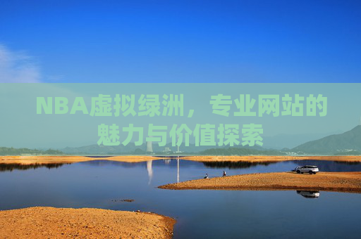 NBA虚拟绿洲，专业网站的魅力与价值探索