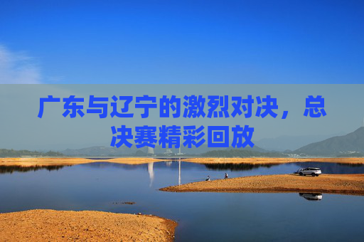 广东与辽宁的激烈对决，总决赛精彩回放
