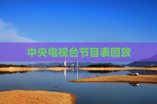 中央电视台节目表回放