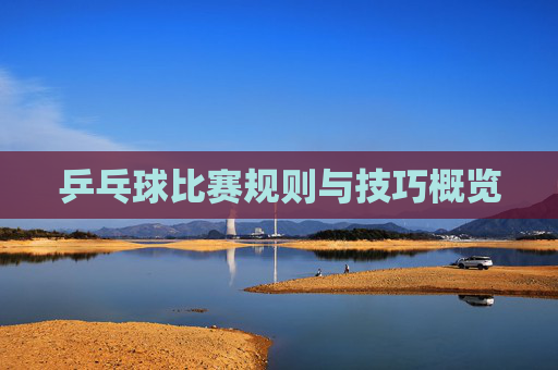 乒乓球比赛规则与技巧概览