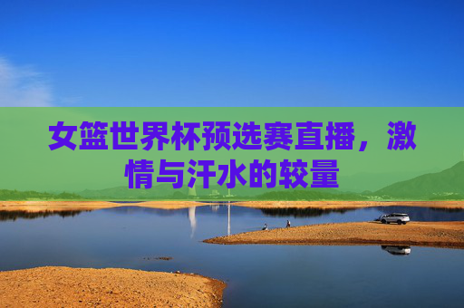 女篮世界杯预选赛直播，激情与汗水的较量