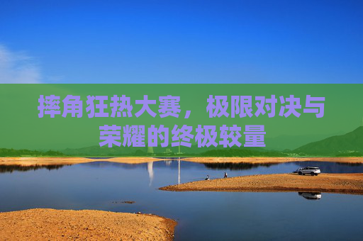 摔角狂热大赛，极限对决与荣耀的终极较量