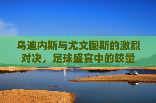 乌迪内斯与尤文图斯的激烈对决，足球盛宴中的较量