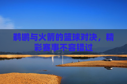 鹈鹕与火箭的篮球对决，精彩赛事不容错过