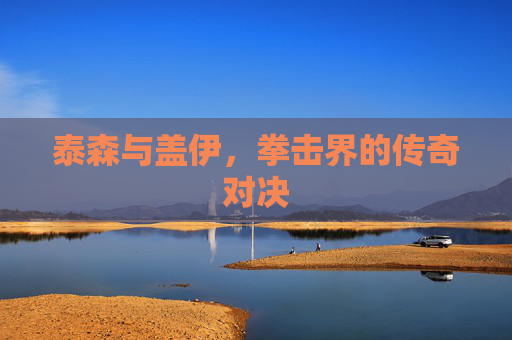 泰森与盖伊，拳击界的传奇对决