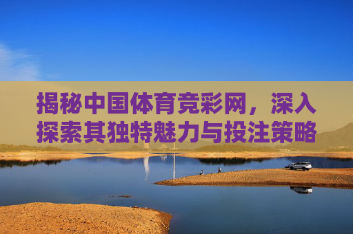 揭秘中国体育竞彩网，深入探索其独特魅力与投注策略