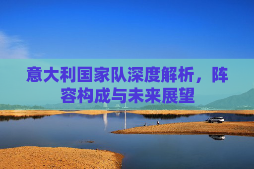 意大利国家队深度解析，阵容构成与未来展望