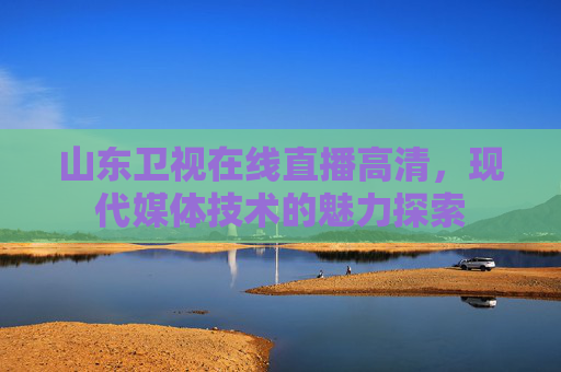 山东卫视在线直播高清，现代媒体技术的魅力探索