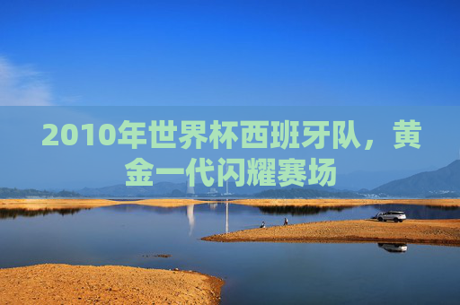 2010年世界杯西班牙队，黄金一代闪耀赛场