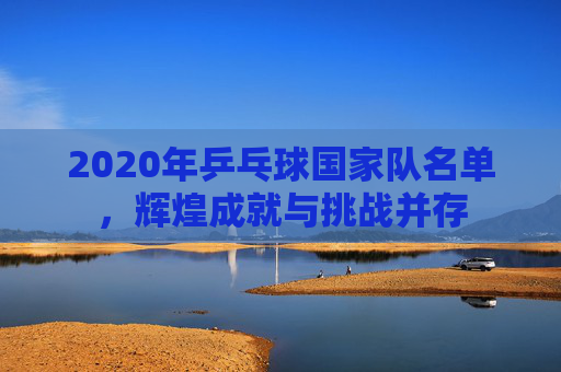 2020年乒乓球国家队名单，辉煌成就与挑战并存