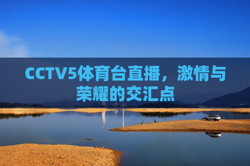 CCTV5体育台直播，激情与荣耀的交汇点