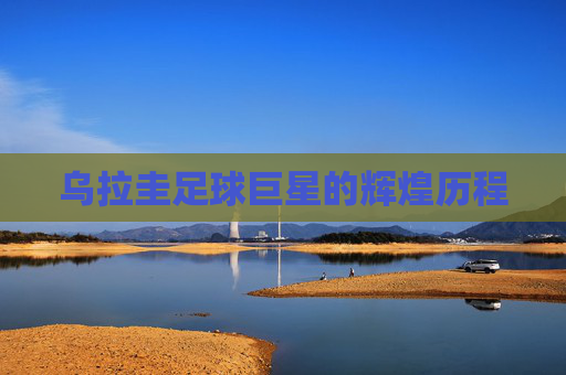 乌拉圭足球巨星的辉煌历程