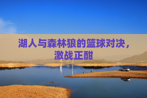 湖人与森林狼的篮球对决，激战正酣
