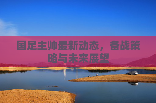 国足主帅最新动态，备战策略与未来展望