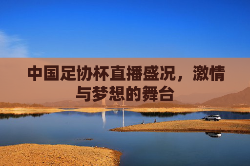 中国足协杯直播盛况，激情与梦想的舞台