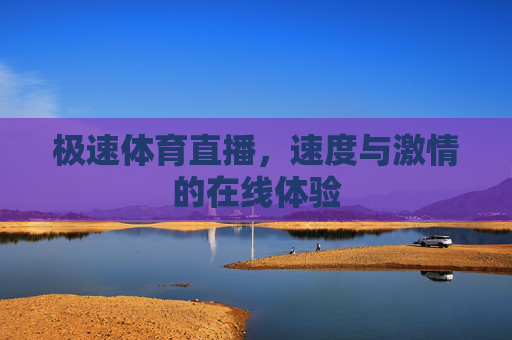极速体育直播，速度与激情的在线体验
