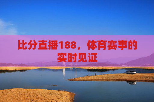 比分直播188，体育赛事的实时见证