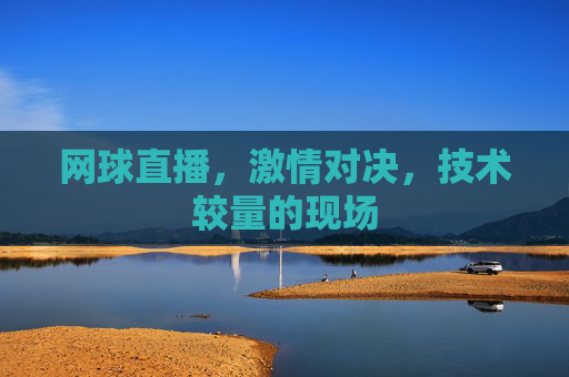 网球直播，激情对决，技术较量的现场