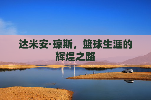 达米安·琼斯，篮球生涯的辉煌之路