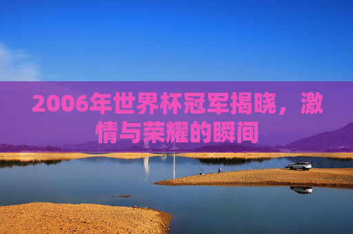 2006年世界杯冠军揭晓，激情与荣耀的瞬间