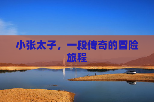 小张太子,一段传奇的冒险旅程 小张太子,一段传奇的冒险旅程