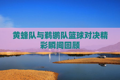 黄蜂队与鹈鹕队篮球对决精彩瞬间回顾