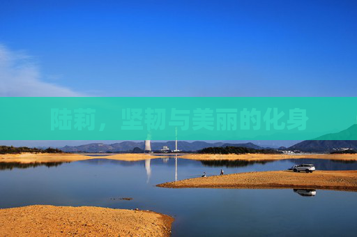 陆莉，坚韧与美丽的化身