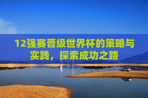 12强赛晋级世界杯的策略与实践，探索成功之路