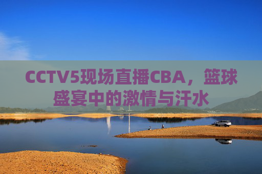 CCTV5现场直播CBA，篮球盛宴中的激情与汗水