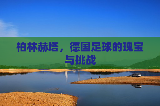 柏林赫塔，德国足球的瑰宝与挑战