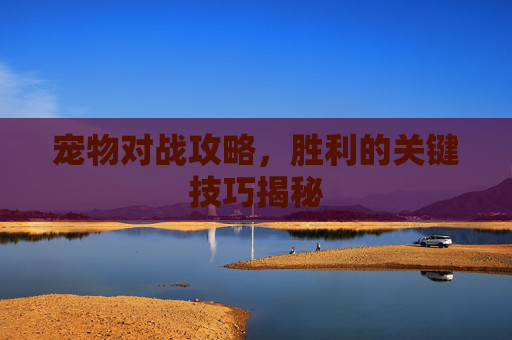 宠物对战攻略，胜利的关键技巧揭秘
