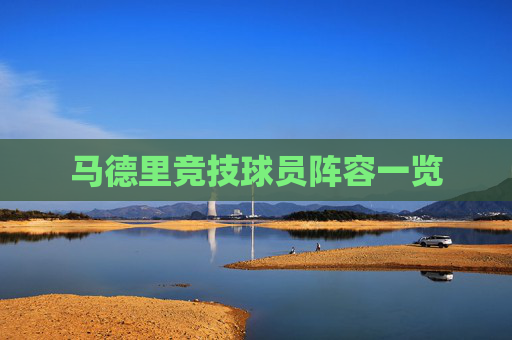 马德里竞技球员阵容一览