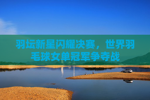羽坛新星闪耀决赛，世界羽毛球女单冠军争夺战