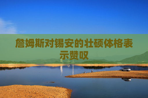 詹姆斯对锡安的壮硕体格表示赞叹